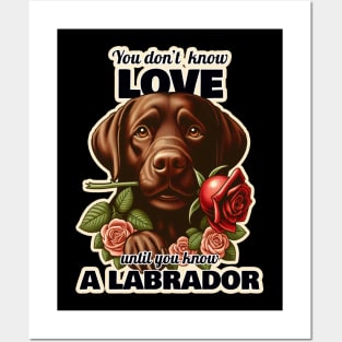 Labrador Valentine's day Posters and Art